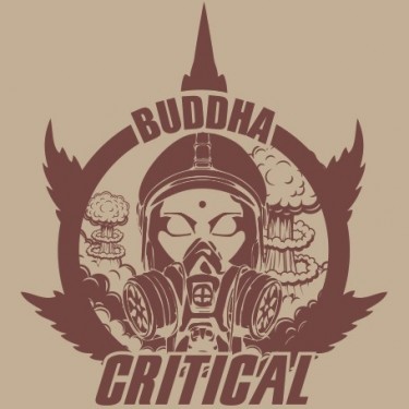 Buddha Critical