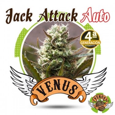 Jack Attack Auto