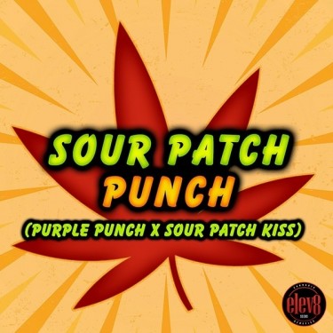 Sour Patch Punch