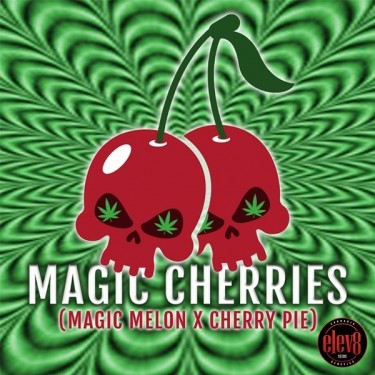 Magic Cherries