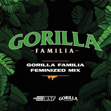 Gorilla Familia Mix...