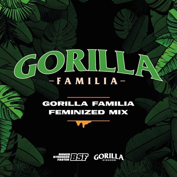 Gorilla Familia Mix Femminizzate