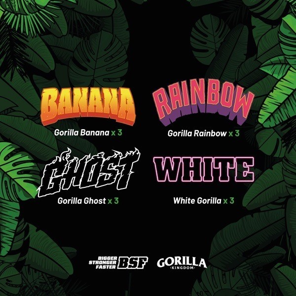 Gorilla Familia Mix Feminizadas banana, rainbow, ghost, white