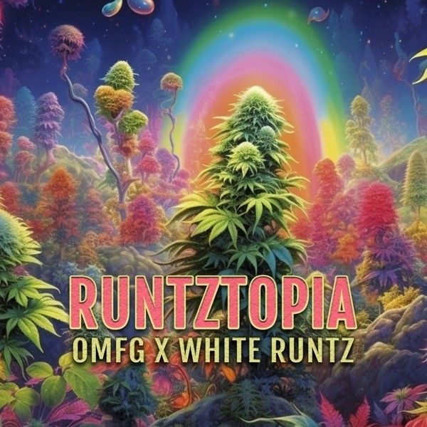 Runtztopia