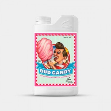 Bud Candy