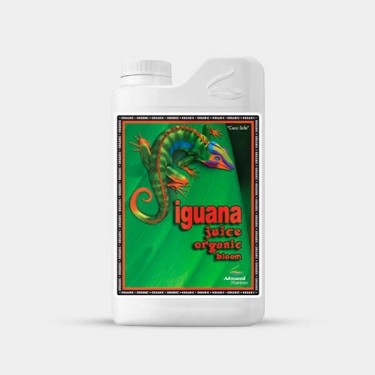 Organic Iguana Juice Bloom