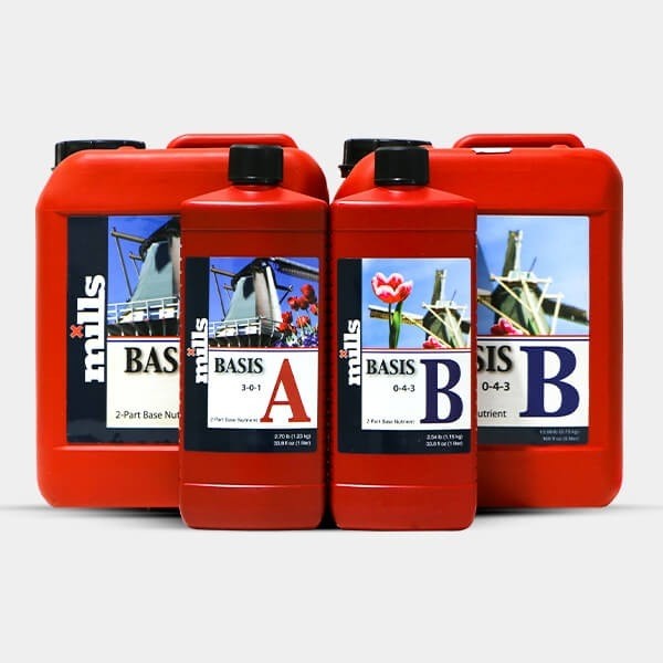 Basis A+B