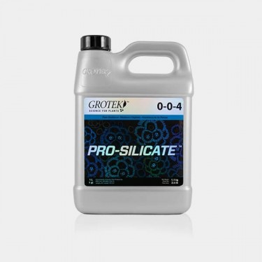 Pro-Silicate