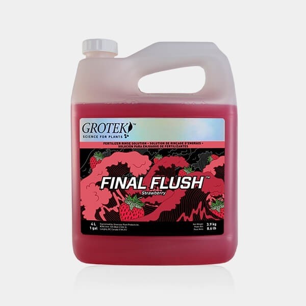 Final Flush Fresa 4