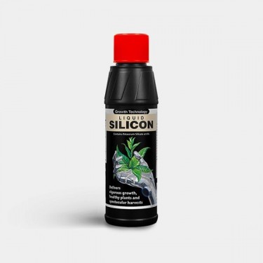 Liquid Silicon