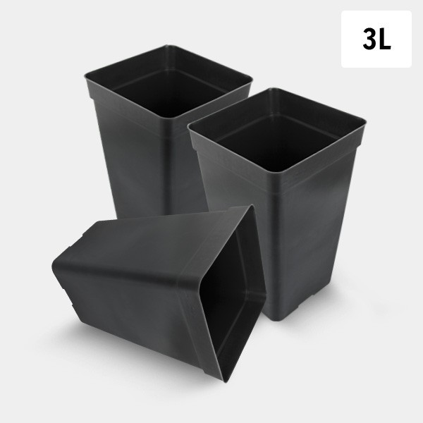 Pack Vaso Quadrato 3L