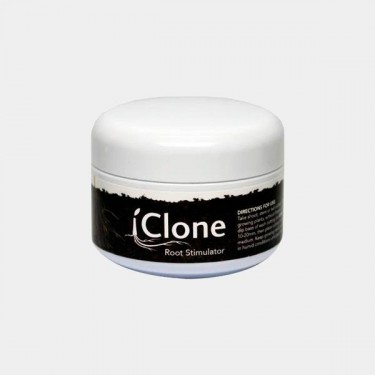 IClone Gel