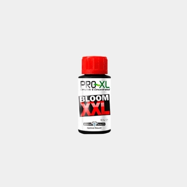 Bloom XXL 100ml