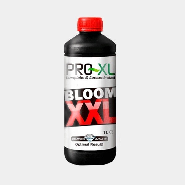 Bloom XXL 1L