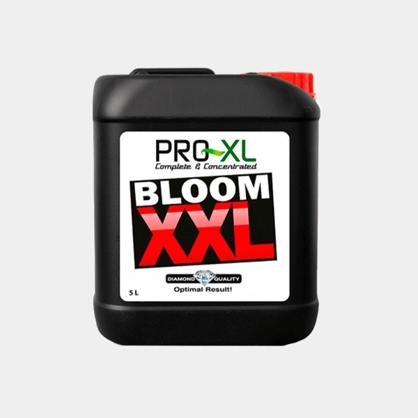 Bloom XXL 5L