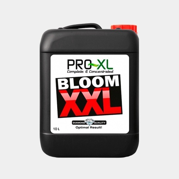 Bloom XXL 10L