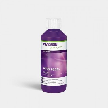 Vita Race