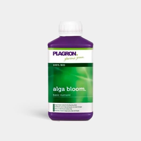 Alga Bloom