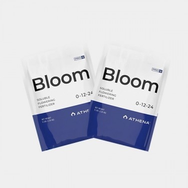 Athena Pro Bloom