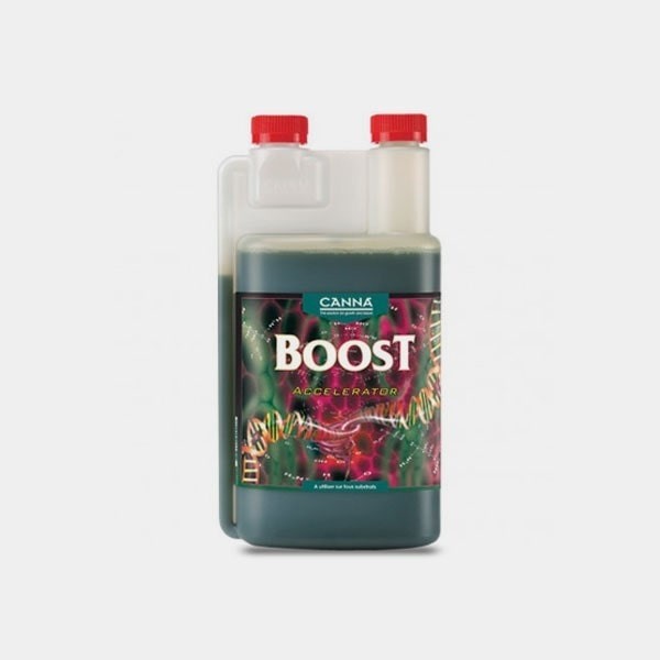 Boost Accelerator