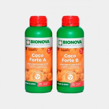 Coco Forte A+B