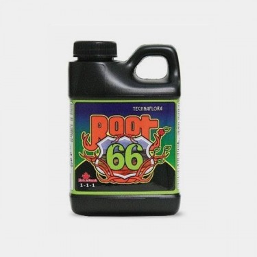 Root 66