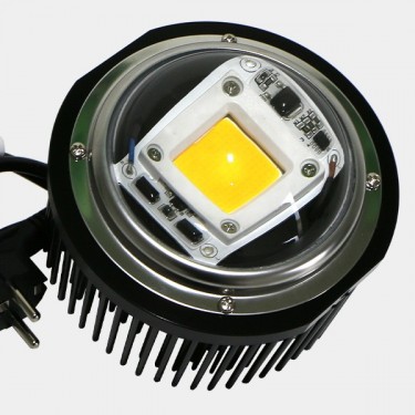 LED TX COB DOB lente